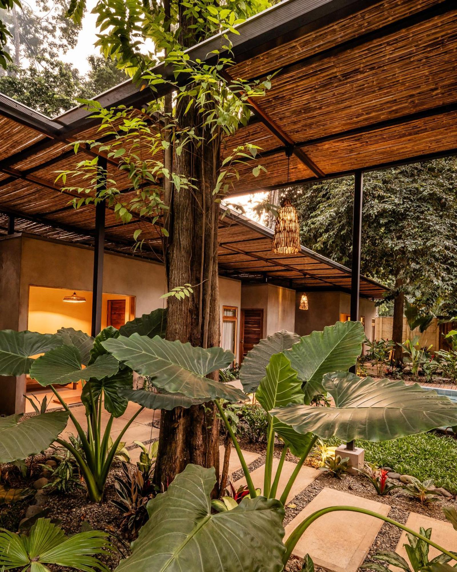 La Bonita Lodge Puerto Viejo de Talamanca Dış mekan fotoğraf